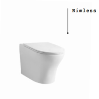Sanita Style R suspensa c/tampo softclose